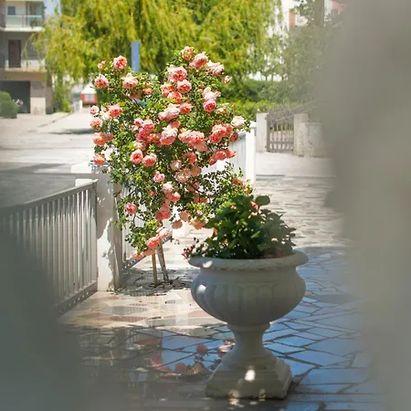 Nena Apartment Podstrana